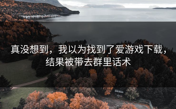 真没想到，我以为找到了爱游戏下载，结果被带去群里话术