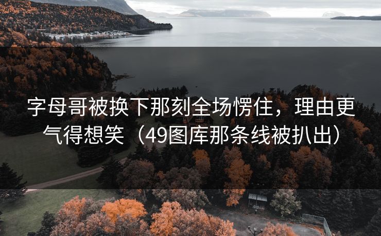 字母哥被换下那刻全场愣住，理由更气得想笑（49图库那条线被扒出）