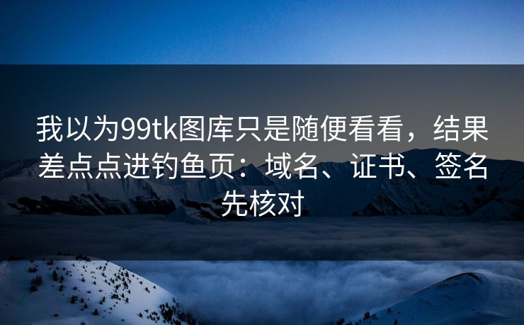我以为99tk图库只是随便看看，结果差点点进钓鱼页：域名、证书、签名先核对
