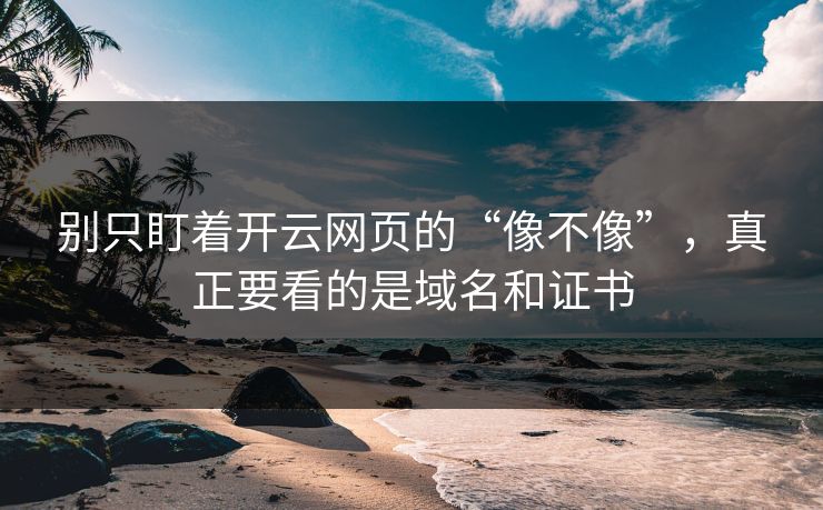 别只盯着开云网页的“像不像”，真正要看的是域名和证书