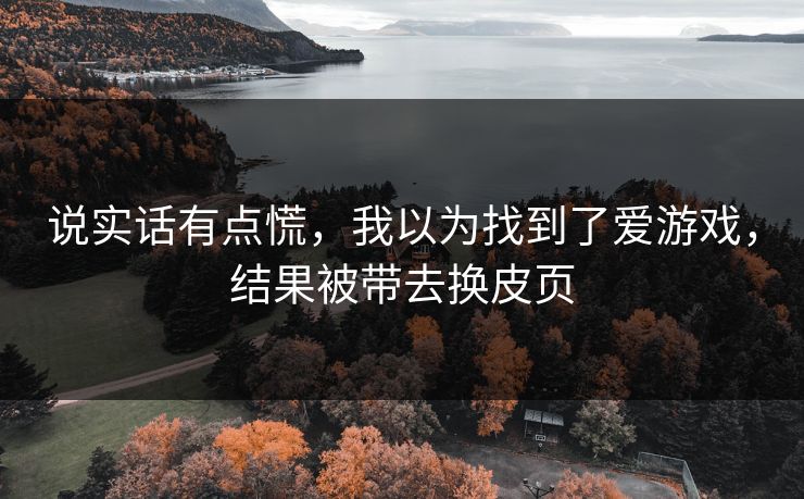 说实话有点慌，我以为找到了爱游戏，结果被带去换皮页