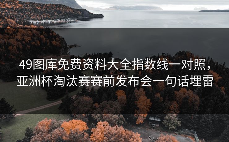 49图库免费资料大全指数线一对照，亚洲杯淘汰赛赛前发布会一句话埋雷